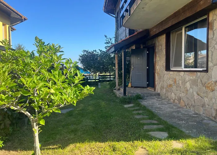 Artfan - Strandja Street