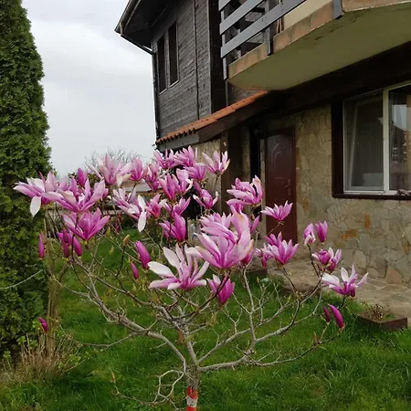 Artfan - Strandja Street * Varvara (Burgas)