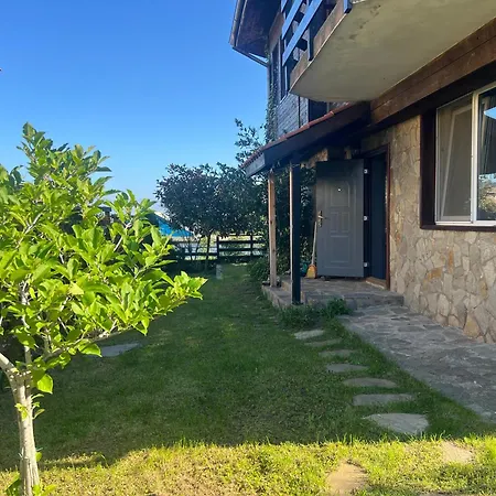 Artfan - Strandja Street