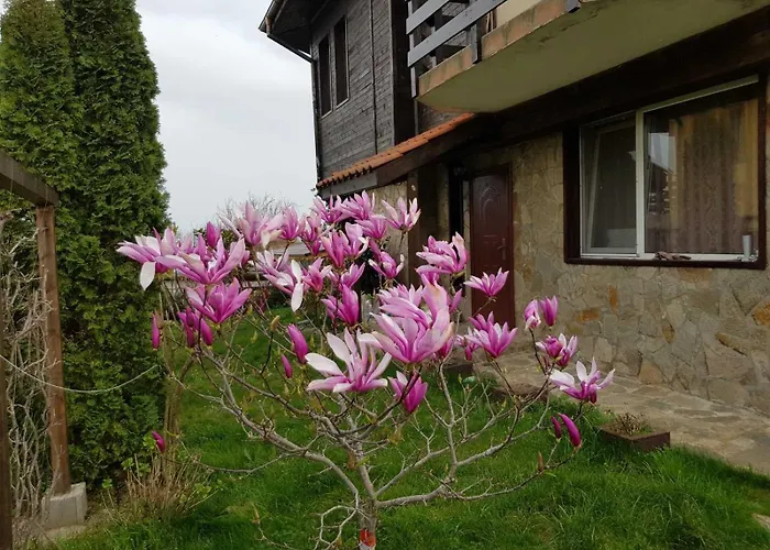 Artfan - Strandja Street * Varvara (Burgas)